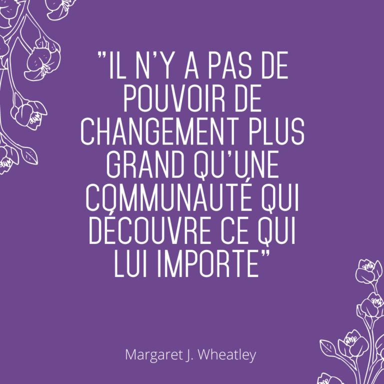 Historique du SoftPower SoftPower